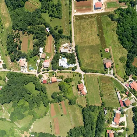 Olma